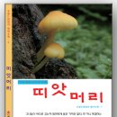 띠앗 - 광산구 임방울대로 261 | 띠앗