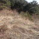 무릉도원면-32 이미지