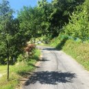 녹천농원 이미지