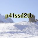 플래티넘 PC | SK하이닉스 플래티넘 P41 NVMe SSD 사용 후기