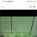 통밀가루9키로4봉지 무료드림 이미지