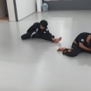 신기 합기도,태권도 이미지