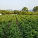 다래칼국수 - 서대문구 가좌로 141 | 다래칼국수