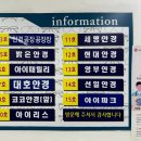 대호소매 이미지