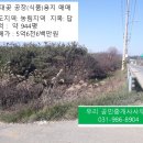 대곶농산물