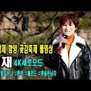 240113 [나목TV / 가요여행 / 호천tv / 영동TV ] 제8회 지리산함양 곶감축제 이미지