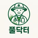 용인 수지구 단독주택 120평 예초·제초 작업 후기｜1년 방치된 마당 완벽 복구