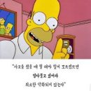 디렉터 너는 호머심슨말을 들었어야했어 이미지