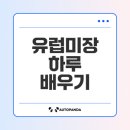 호야미장 | 유럽미장 배우기 초보자 가이드