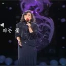 이미배 - 눈물 속에 피는 꽃 이미지