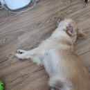 환승센터약국 이미지