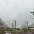 전남대학교병원 - 5560 | 육종암 수술 후 첫 3개월 정기검진 | 전남대학교병원 CT·MRI 검사 후기