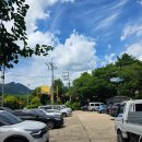 삼장초등학교 | 산청 송정숲 유원지 계곡 물놀이 노지캠핑 답사 후기