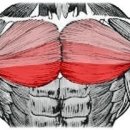 프레스밀 이미지