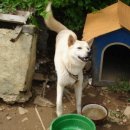 화봉농장 이미지