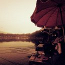 삼우수지 이미지