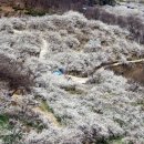 안의(회관)마을회관 이미지