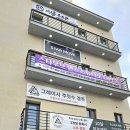 그레이시주짓수경주