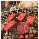조은색