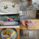 한국닌텐도(주) | 10월 연휴~주말 전 1,2주차 일상 공유(부모님과 산소, 양산 황태구이, 석남사 산책, 언양 해월당...