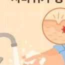 면목동-213 네이버블로그