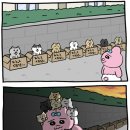 계경순대국 이미지