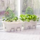 버디하우스 이미지