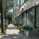 울산제일중학교 | 울산 티 브런치 카페 태화동 레몬에이드 쑥가래떡 샐러드 백비티클래식 태화강국가정원점