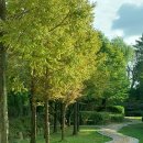 양주중학교 이미지