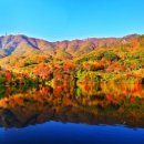 덕산자원(환경) 이미지