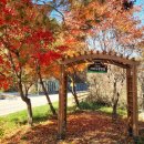 치악산둘레길 5코스 서마니강변길 | 치악산둘레길5코스(서마니강변길)