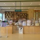 개들랜드 이미지