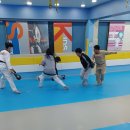 동아대 힘찬 태권도 이미지