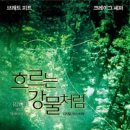 흐르는 강물처럼 - 안산시 상록구 | 흐르는 강물처럼