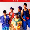 시몬즈헤어클럽 | C-C-B(Coconut Boys)