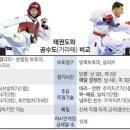 손 태권도 이미지