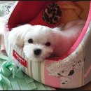 낙원지하시장(대일상가) 이미지