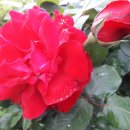 송광보건지소 이미지