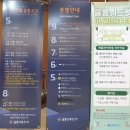 지에스25부산신항늘해랑점 | [울릉도 여행 1탄] 포항 영일만신항에서 울릉크루즈 타기(부산에서 울릉도 여행)
