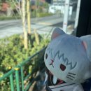 박충해농장 | 2023 | TOKYO 도쿄 | DAY④