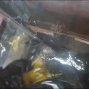 세종크리닝 이미지