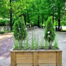 강산타운 이미지