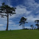 하늘이네 이미지