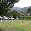 숲속 당구 이미지