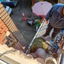 남촌도림동-3 이미지