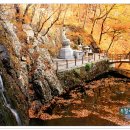 홍룡폭포(홍룡사) 이미지