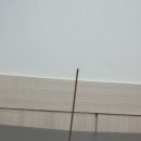 일향(一香) 이미지