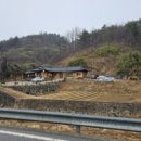 꼬꼬와메밀국수