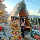 풍성농장 | 포천 숲속의제빵소 베이커리 카페 크리스마스 트리 포토존 내돈내산