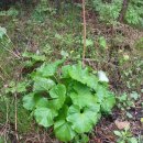 재왕 농장 이미지